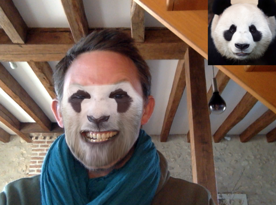 Animation swap face panda